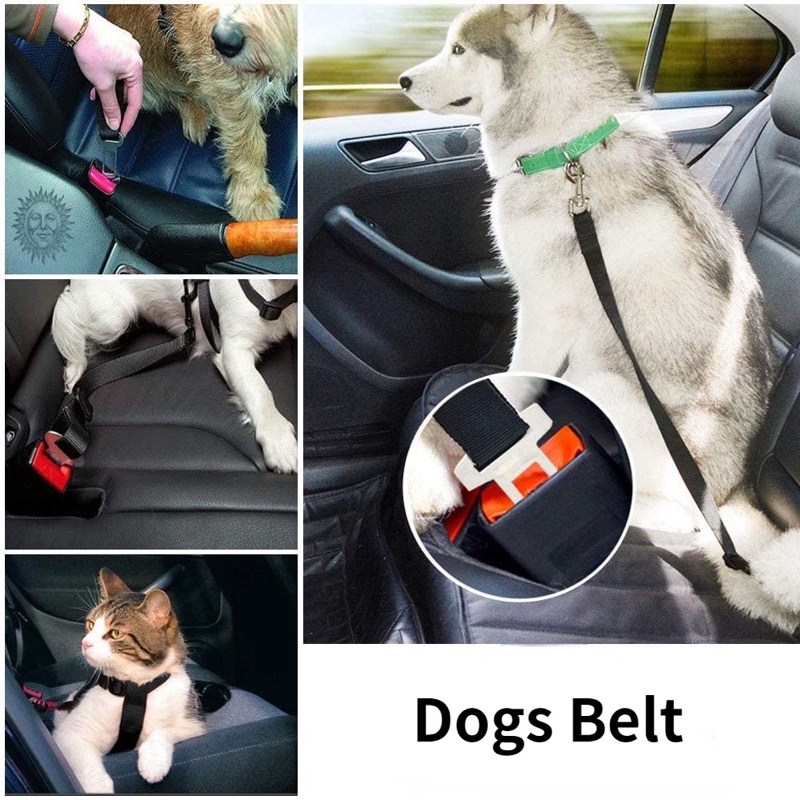 Dogs on car seats held by the Tether, clipped into the seat-belt buckles, shown in several colors